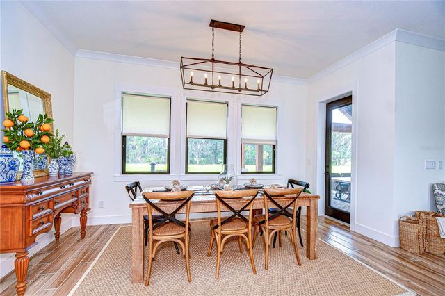 111 ALAFIA ESTATES LANE, Lithia, FL 33547