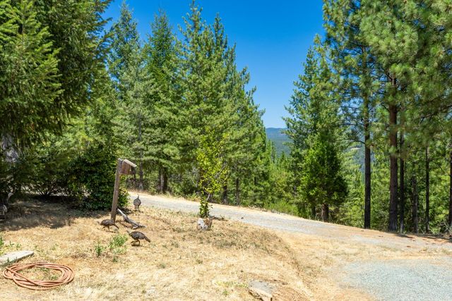 4717 Lobo Trail, Garden Valley, CA 95633