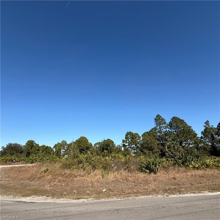 3209 Floyd AVE S, LEHIGH ACRES, FL 33976 — photo 3