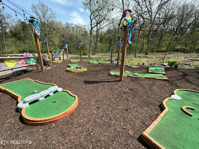 225 Collier Drive 2102, Sevierville, TN 37862