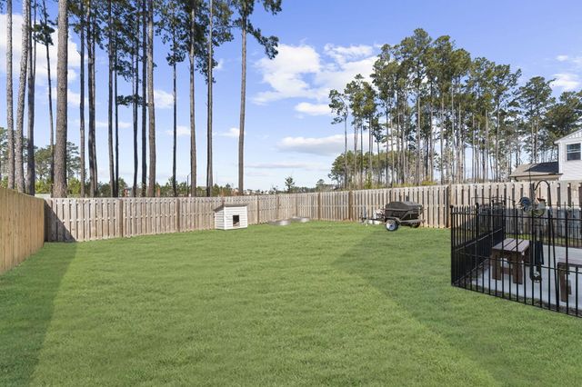 163 Surfbird Road, Summerville, SC 29486