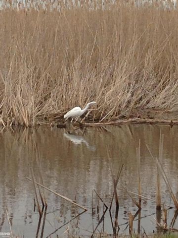 7334 Bealane Road, Clay Twp, MI 48001