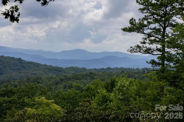 Lot 28 Big Hill Road 28, Brevard, NC 28712