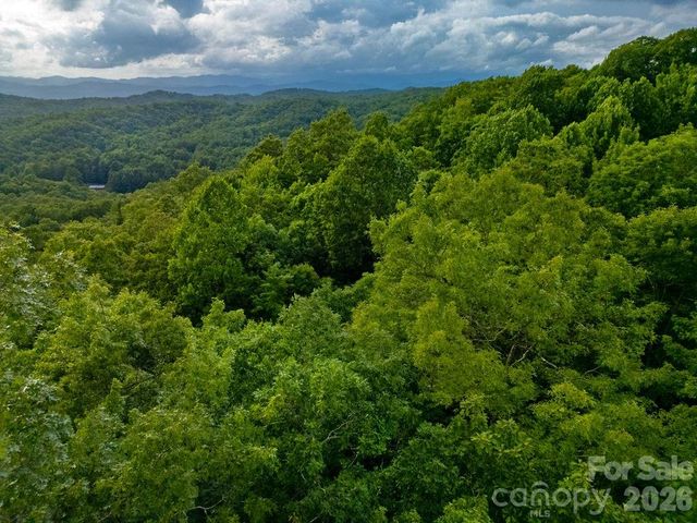 Lot 28 Big Hill Road 28, Brevard, NC 28712