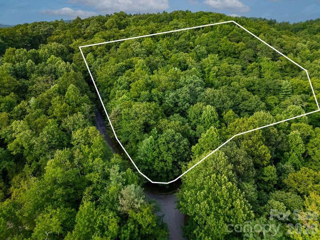 Lot 28 Big Hill Road 28, Brevard, NC 28712