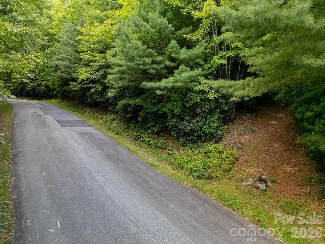 Lot 28 Big Hill Road 28, Brevard, NC 28712