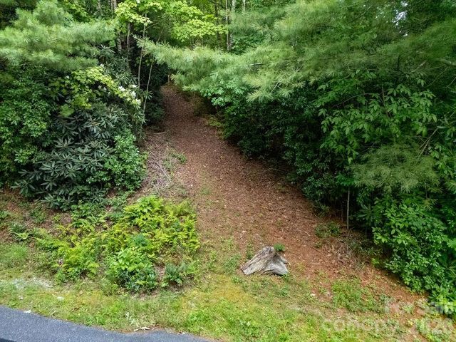 Lot 28 Big Hill Road 28, Brevard, NC 28712