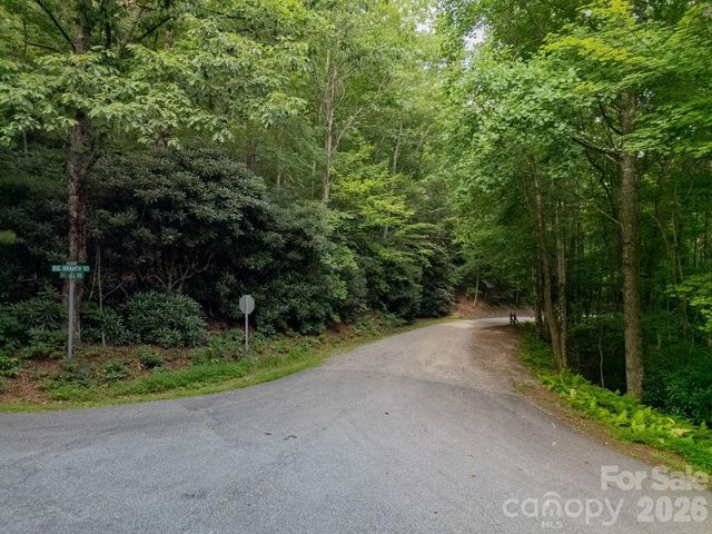 Lot 28 Big Hill Road 28, Brevard, NC 28712