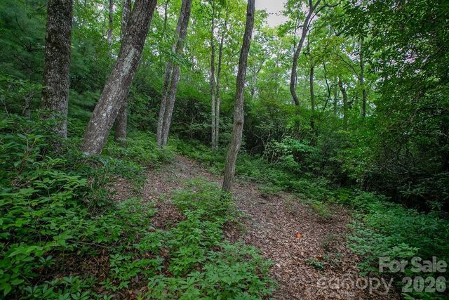 Lot 28 Big Hill Road 28, Brevard, NC 28712