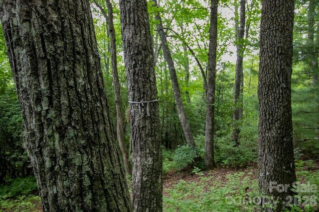 Lot 28 Big Hill Road 28, Brevard, NC 28712