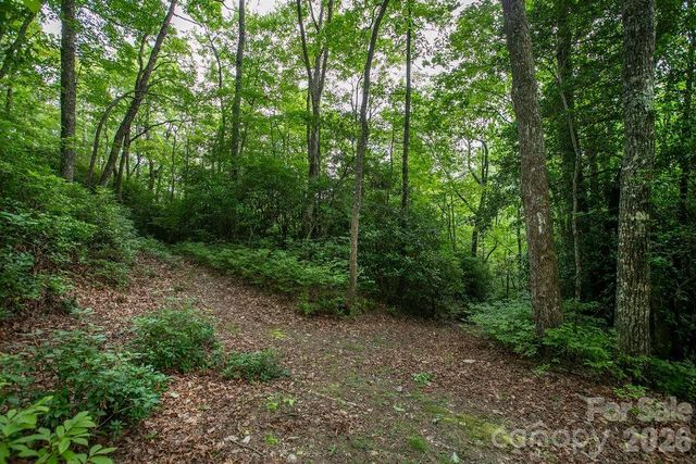 Lot 28 Big Hill Road 28, Brevard, NC 28712