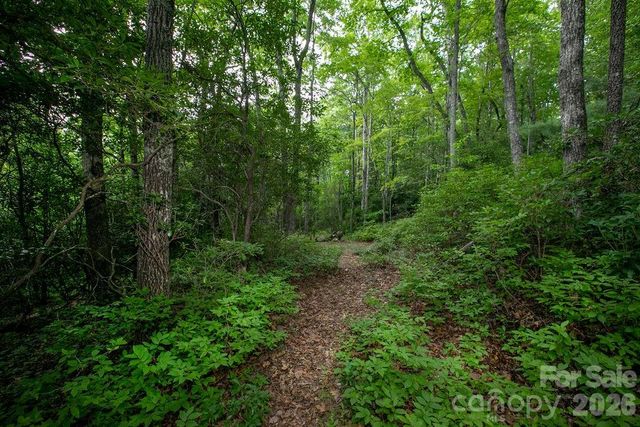 Lot 28 Big Hill Road 28, Brevard, NC 28712