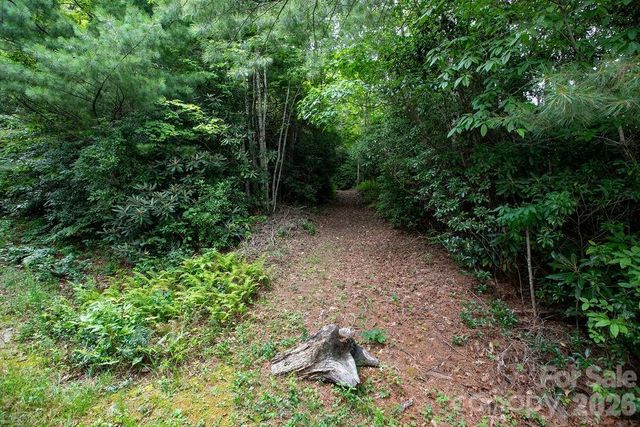 Lot 28 Big Hill Road 28, Brevard, NC 28712