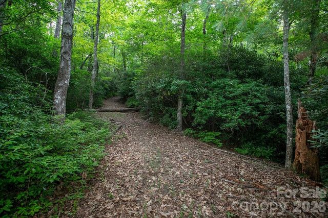 Lot 28 Big Hill Road 28, Brevard, NC 28712