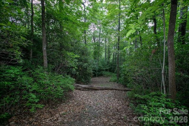 Lot 28 Big Hill Road 28, Brevard, NC 28712