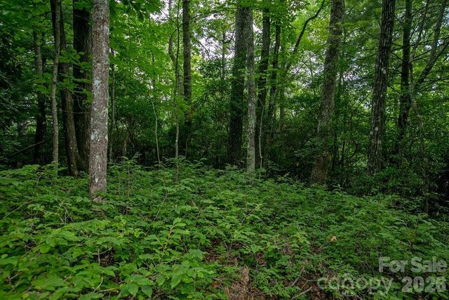 Lot 28 Big Hill Road 28, Brevard, NC 28712