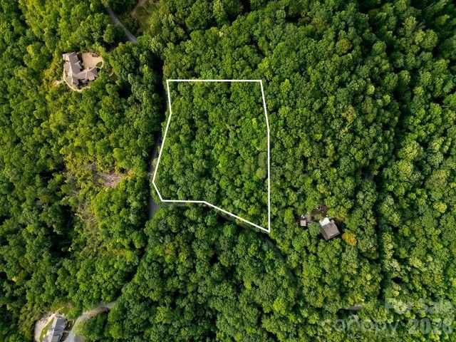 Lot 28 Big Hill Road 28, Brevard, NC 28712