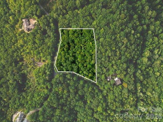 Lot 28 Big Hill Road 28, Brevard, NC 28712