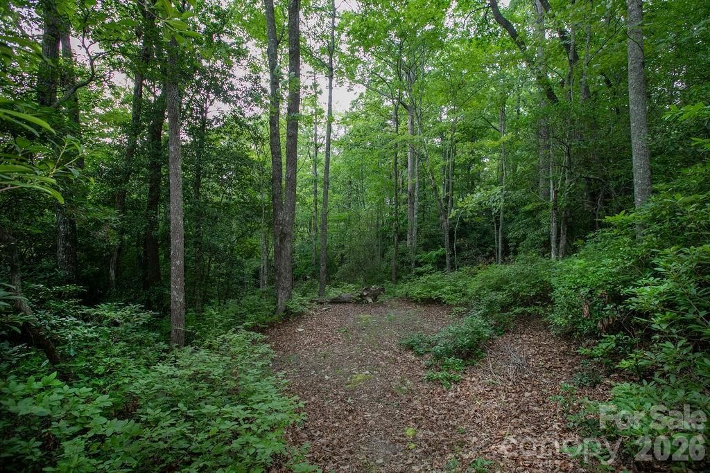 Lot 28 Big Hill Road 28, Brevard, NC 28712