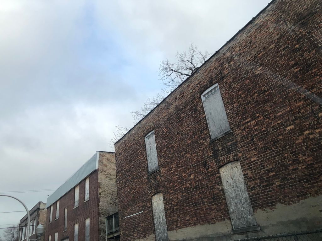 6401 S Bishop Street, Chicago, IL 60636 — photo 2