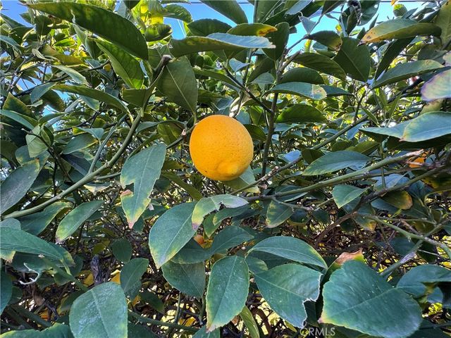 6581 Merito, San Bernardino, CA 92404