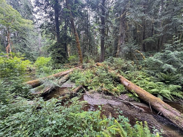 0 Nels Nelson Road NW, Bremerton, WA 98311
