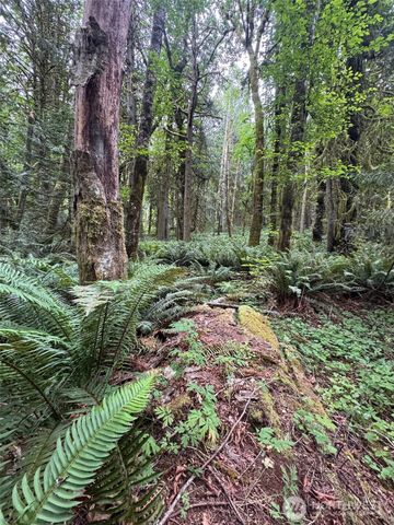0 Nels Nelson Road NW, Bremerton, WA 98311
