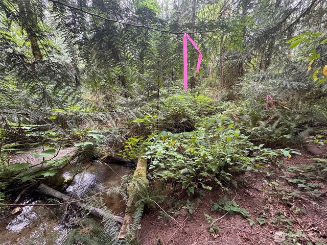 0 Nels Nelson Road NW, Bremerton, WA 98311