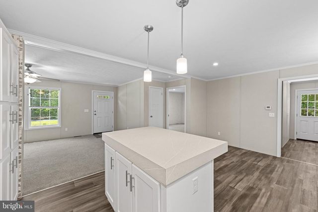 33350 SYCAMORE ST, Ocean View, DE 19970