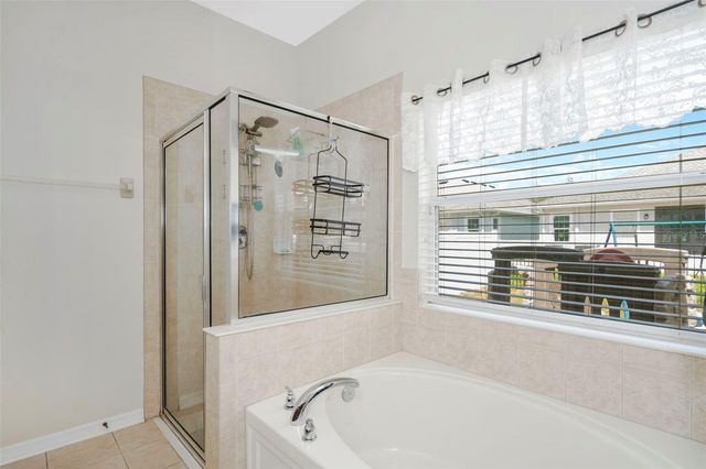 6245 DESERT PEACE AVENUE, Land O Lakes, FL 34639