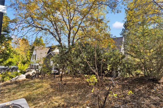 28919 Palisades, Lake Arrowhead, CA 92352