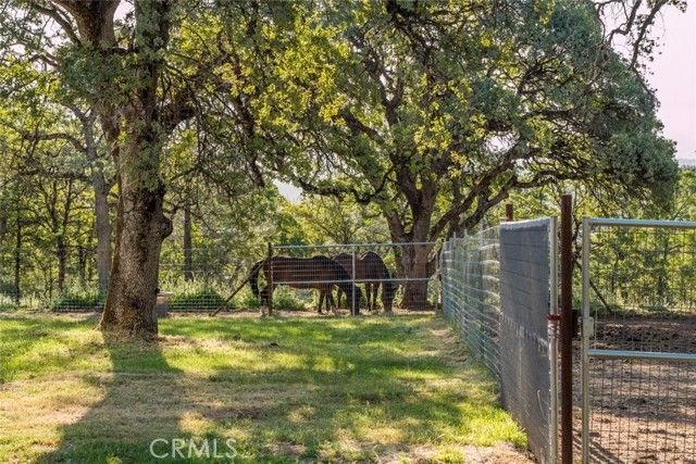 9051 Regent Way, Oregon House, CA 95962