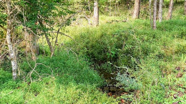 Lot 43 Coras View, Blairsville, GA 30512