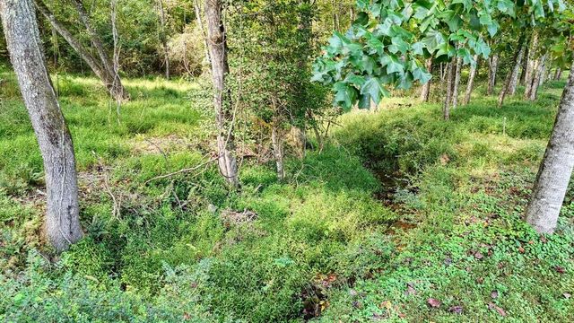 Lot 43 Coras View, Blairsville, GA 30512