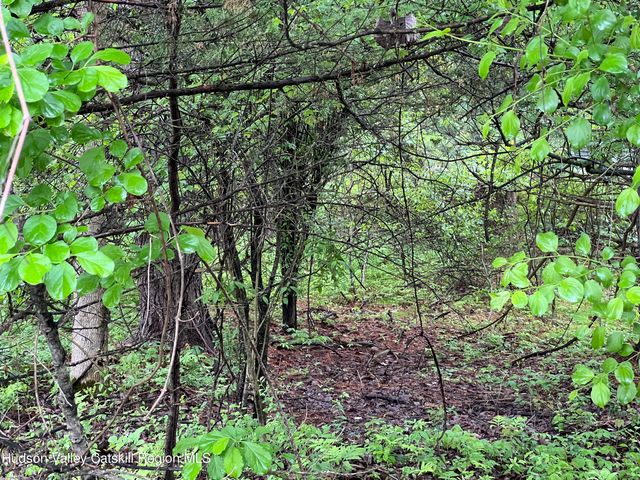 101 Ichabod Crane Circle, Coxsackie, NY 12051