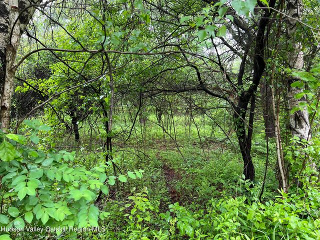 101 Ichabod Crane Circle, Coxsackie, NY 12051