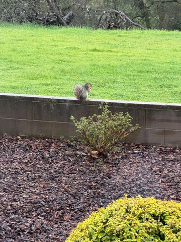 117 Wild Oat Ct, Roseville, CA 95747