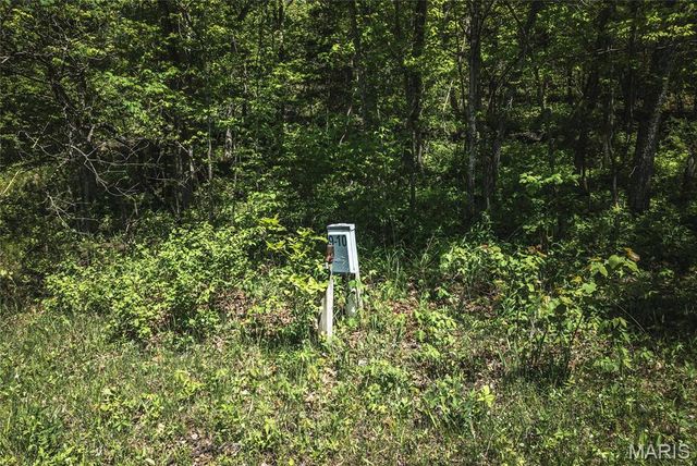 25190 McDonald Drive, Lebanon, MO 65536