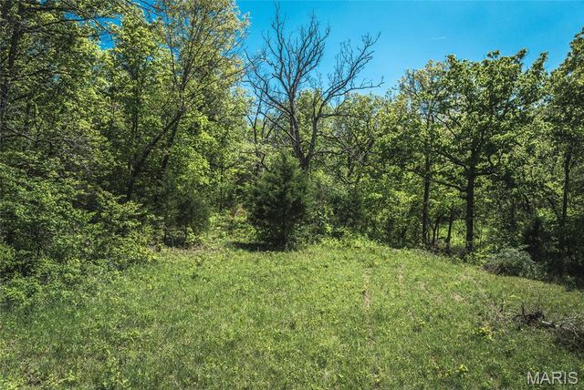 25190 McDonald Drive, Lebanon, MO 65536