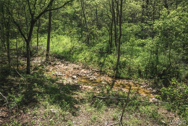 25190 McDonald Drive, Lebanon, MO 65536