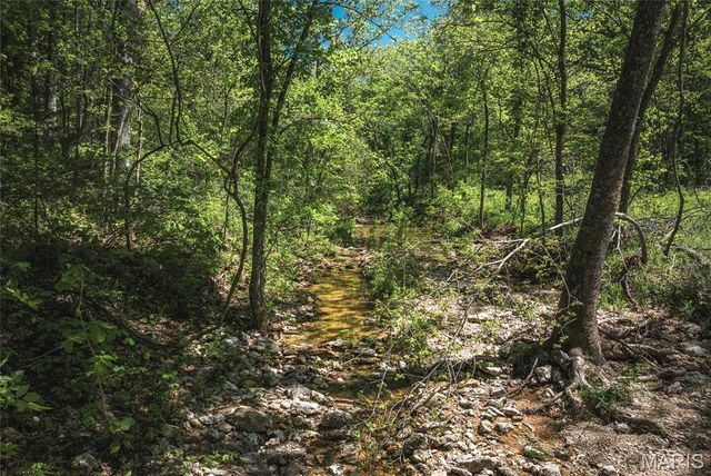 25190 McDonald Drive, Lebanon, MO 65536