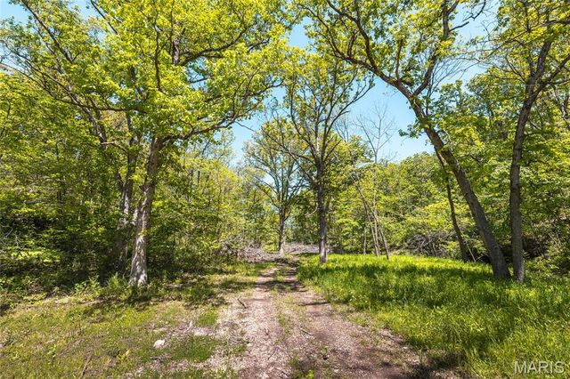 25190 McDonald Drive, Lebanon, MO 65536