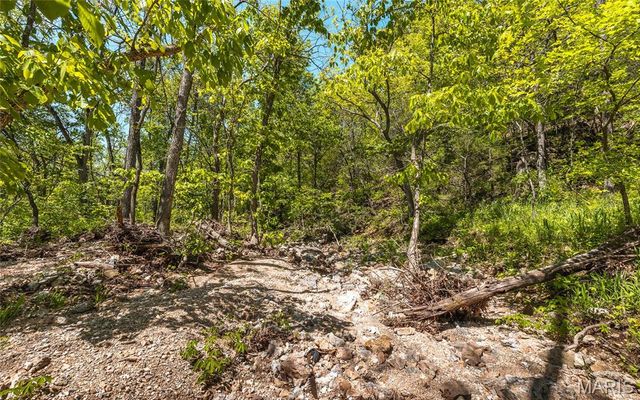 25190 McDonald Drive, Lebanon, MO 65536