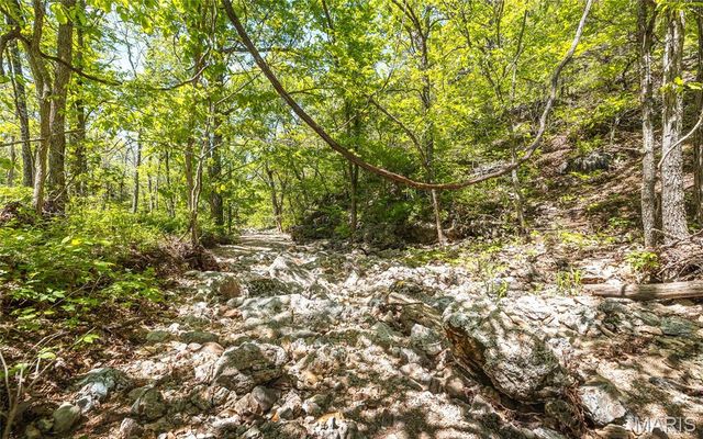 25190 McDonald Drive, Lebanon, MO 65536