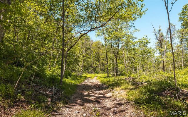 25190 McDonald Drive, Lebanon, MO 65536