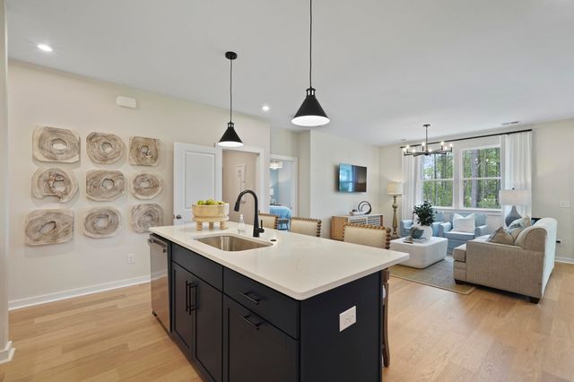217 River Birch Dr., Loris, SC 29569