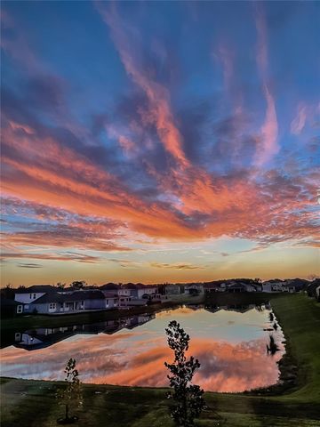 31030 PARROT REEF COURT, Wesley Chapel, FL 33545