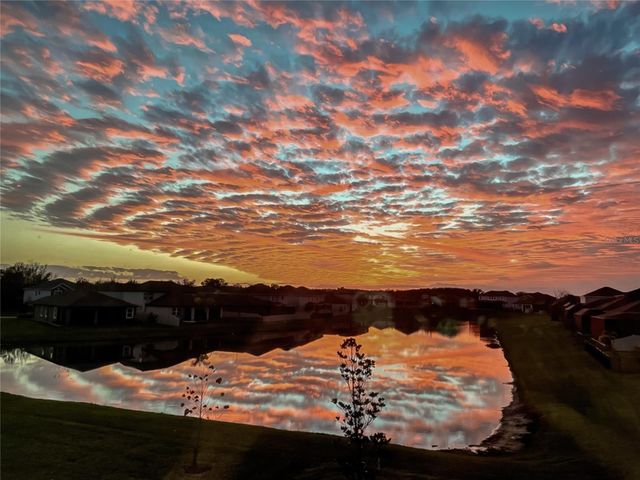 31030 PARROT REEF COURT, Wesley Chapel, FL 33545