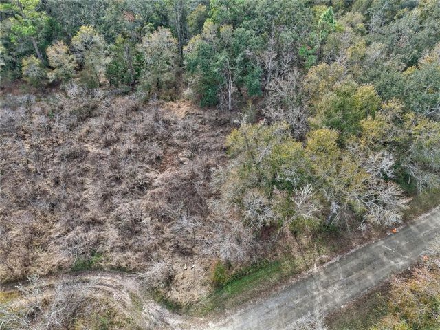 Lot 1 CHIPSTONE STREET, Webster, FL 33597