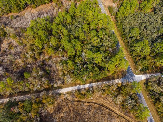 Lot 1 CHIPSTONE STREET, Webster, FL 33597